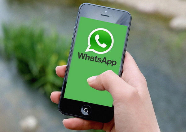 Messenger-Dienst "Whatsapp"