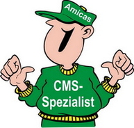 Amicas Online IT-Team "CMS-Spezialist" 