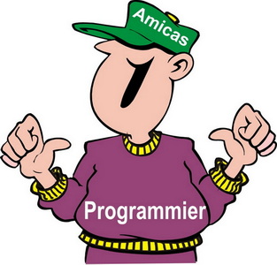Amicas Online IT-Team "Programmierer" 